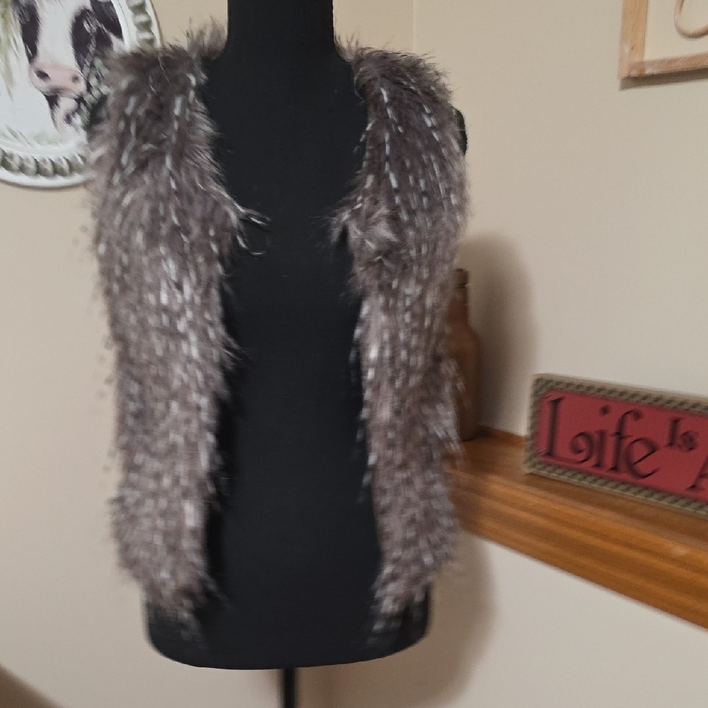 Say What? Faux Fur Vest in Brown and Gray